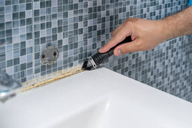 Best Mold Testing and Removal  in Stapleton, AL