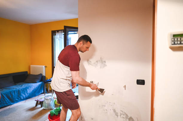 Best Professional Mold Removal  in Stapleton, AL